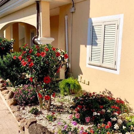 Apartmán Casa Dolce Hibiscus Olbia Exteriér fotografie