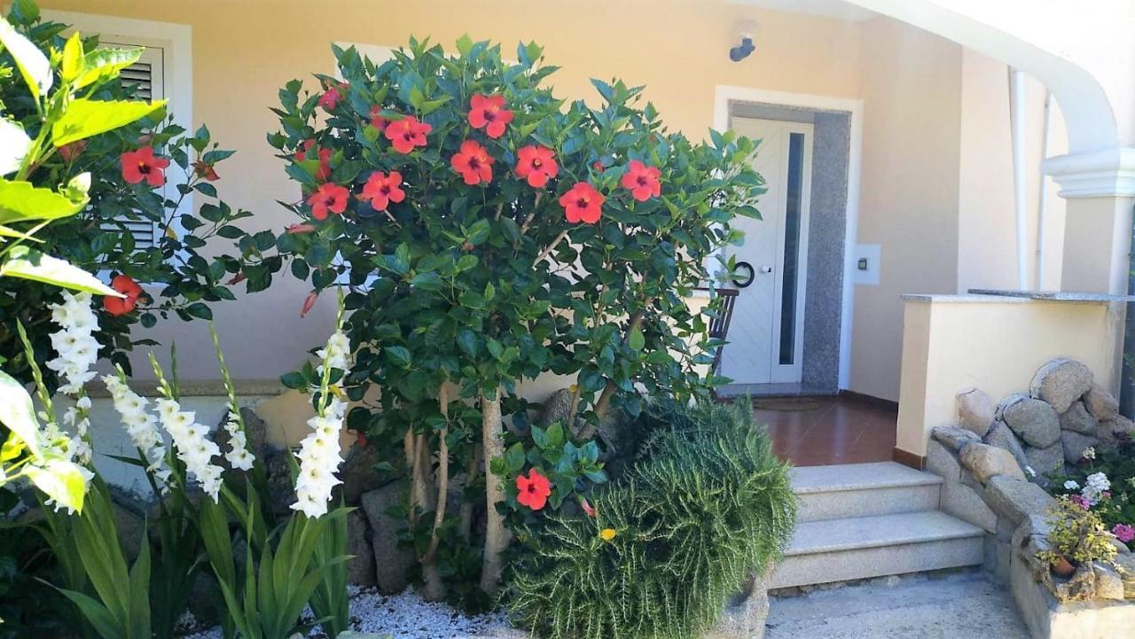 Apartmán Casa Dolce Hibiscus Olbia Exteriér fotografie
